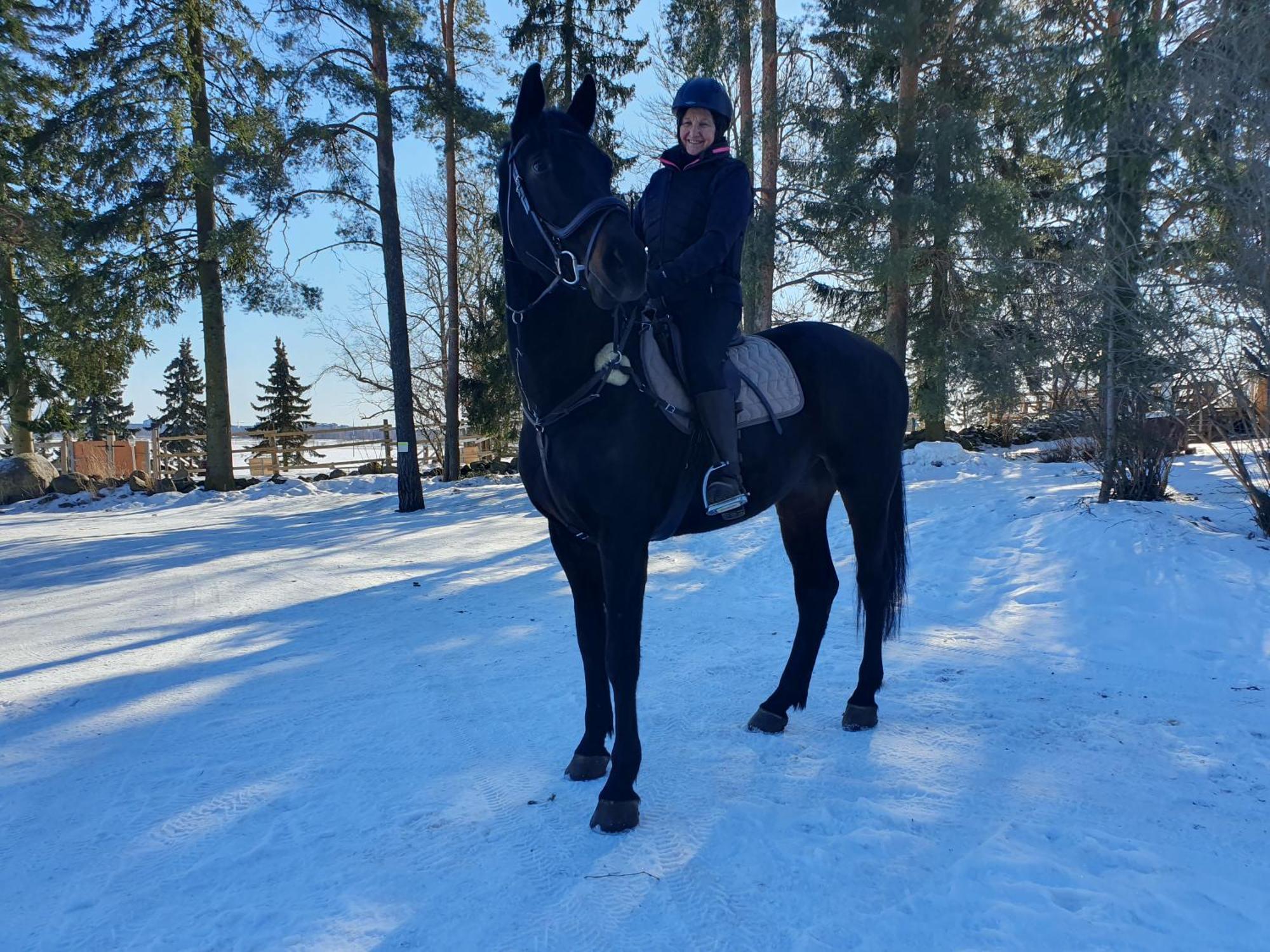 منزل الضيف Seinäjoki  في Siirilaen Tila المظهر الخارجي الصورة
